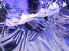 20101205224802-DSCF6754.JPG