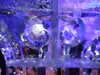 20101205225128-DSCF6761.JPG