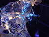 20101205230227-DSCF6794.JPG