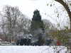 20101219104842-DSCF6858.JPG