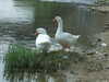 20110423150633-DSCF6899.JPG