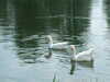 20110423150813-DSCF6906.JPG