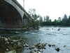 20110423151133-DSCF6909.JPG