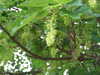 20110423185609-DSCF6921.JPG