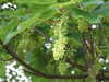 20110423185615-DSCF6922.JPG