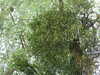 20110423190104-DSCF6924.JPG
