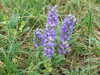 20110424175545-DSCF6928.JPG