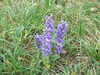 20110424175556-DSCF6929.JPG