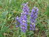 20110424175600-DSCF6930.JPG