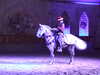 20110425143856-DSCF7007.JPG