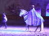 20110425144046-DSCF7011.JPG