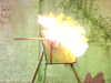 20110425144543-DSCF7014.JPG