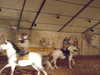 20110425145153-DSCF7017.JPG