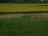 20110425184015-DSCF7049.JPG