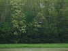 20110425184632-DSCF7057.JPG