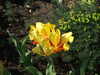 20110426112355-DSCF7113.JPG