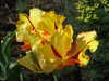 20110426112414-DSCF7116.JPG