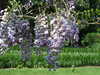 20110426112545-DSCF7121.JPG