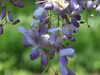 20110426112552-DSCF7122.JPG