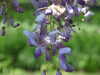 20110426112559-DSCF7123.JPG