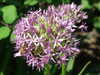 20110426112614-DSCF7125.JPG