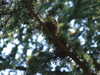 20110426115503-DSCF7135.JPG