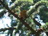 20110426115510-DSCF7136.JPG