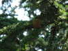 20110426115531-DSCF7138.JPG