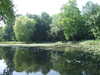 20110426115902-DSCF7139.JPG