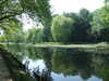 20110426115908-DSCF7140.JPG