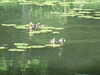 20110426115928-DSCF7142.JPG