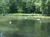 20110426120048-DSCF7143.JPG