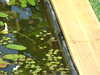 20110426124605-DSCF7180.JPG