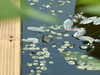 20110426124716-DSCF7181.JPG
