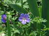 20110426124930-DSCF7184.JPG