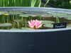 20110426125202-DSCF7192.JPG