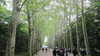 2011-04-27:chenonceau
