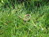 20110427113728-DSCF7241.JPG