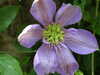 20110427122737-DSCF7273.JPG