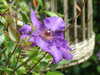 20110427124221-DSCF7282.JPG