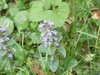 20110427125902-DSCF7294.JPG