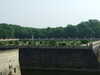 20110427223624-DSCF7203.JPG