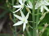 20110428111544-DSCF7302.JPG