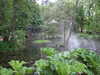 20110428111741-DSCF7308.JPG