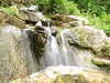 20110428112119-DSCF7316.JPG