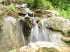 20110428112122-DSCF7317.JPG