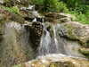 20110428112135-DSCF7318.JPG