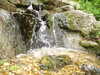 20110428112217-DSCF7322.JPG