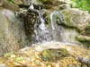 20110428112220-DSCF7323.JPG