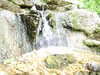 20110428112235-DSCF7326.JPG